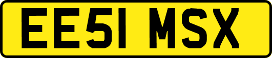 EE51MSX