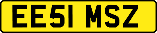 EE51MSZ