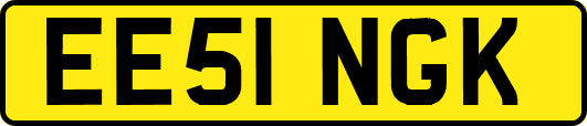 EE51NGK