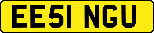 EE51NGU