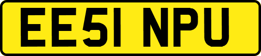 EE51NPU