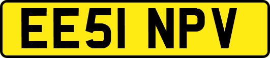 EE51NPV