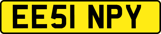 EE51NPY