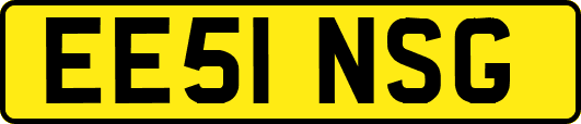 EE51NSG