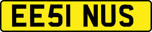 EE51NUS