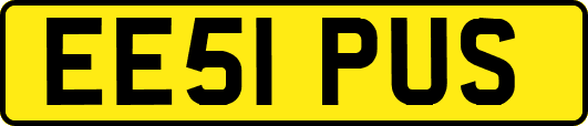 EE51PUS