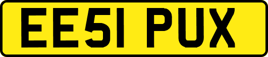 EE51PUX