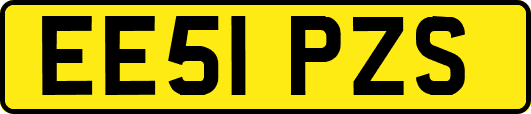 EE51PZS