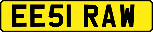 EE51RAW