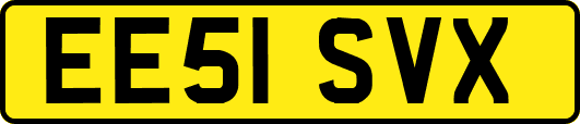 EE51SVX