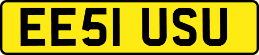 EE51USU