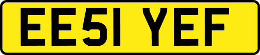 EE51YEF
