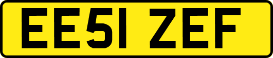 EE51ZEF