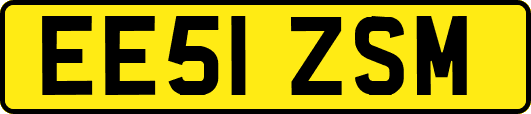 EE51ZSM
