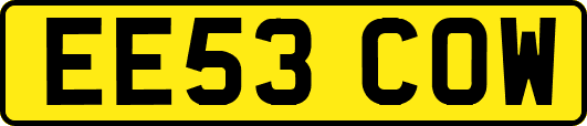 EE53COW