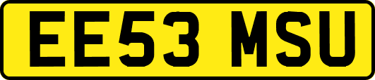 EE53MSU