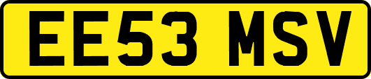 EE53MSV