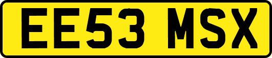 EE53MSX
