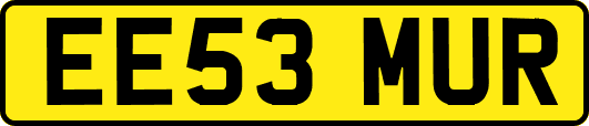 EE53MUR