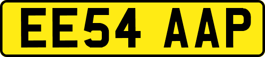 EE54AAP