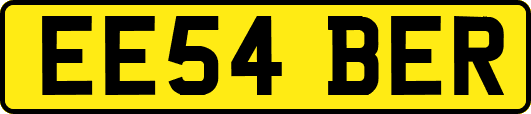 EE54BER