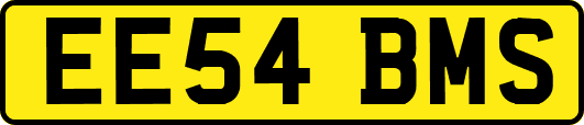 EE54BMS