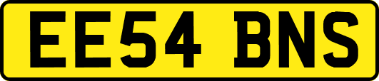 EE54BNS