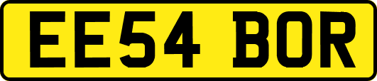 EE54BOR