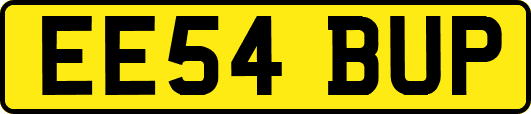 EE54BUP