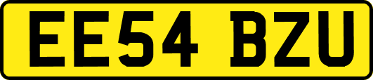 EE54BZU