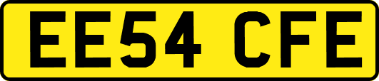 EE54CFE
