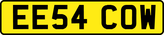 EE54COW
