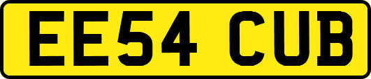 EE54CUB