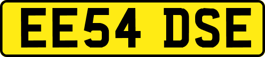 EE54DSE