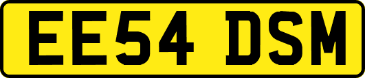 EE54DSM