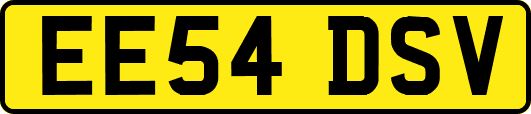EE54DSV