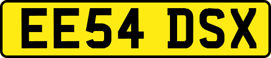 EE54DSX