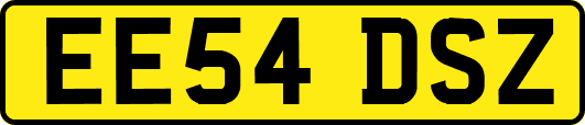 EE54DSZ