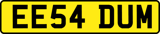 EE54DUM