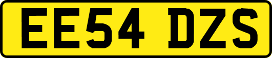 EE54DZS