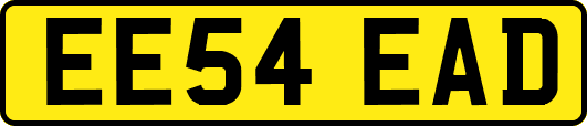 EE54EAD