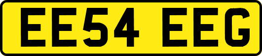 EE54EEG