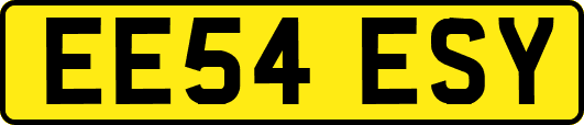 EE54ESY