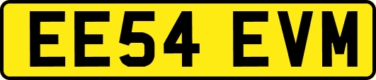 EE54EVM