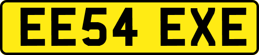 EE54EXE