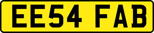 EE54FAB
