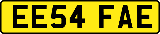 EE54FAE