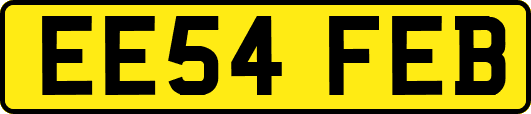 EE54FEB