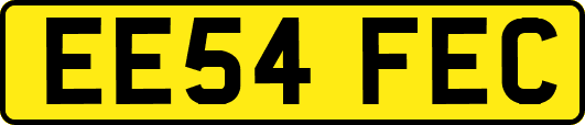 EE54FEC