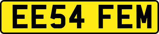 EE54FEM